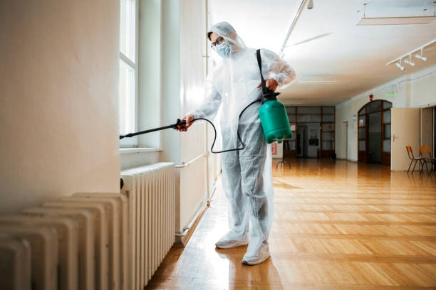 Real Estate Pest Inspections in Gainesville, VA